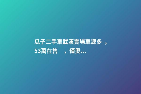 瓜子二手車武漢賣場車源多，5.3萬在售，僅奧迪品牌就有3000多輛